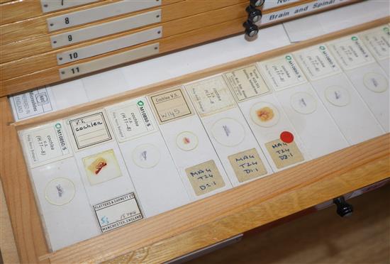 A wooden slide cabinet with selection of human biological slides